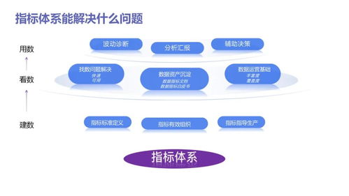 數(shù)據(jù)分析實(shí)戰(zhàn)寶典 從入門到精通，驅(qū)動業(yè)務(wù)增長