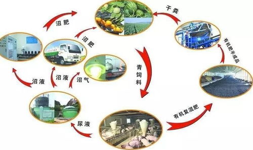 綏中千尋文案做項(xiàng)目投資策劃書(shū)質(zhì)量可靠