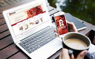 泰鈞投資品牌設(shè)計