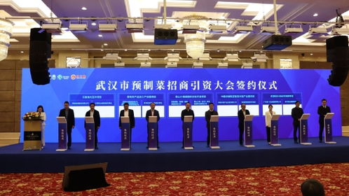 風(fēng)脈能源30億元投資江夏山坡街道 打造萬畝低碳高效水產(chǎn)養(yǎng)殖綜合開發(fā)項目